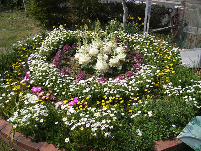 flowers-in-nobeoka-5.jpg